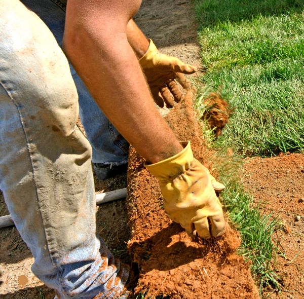 Top soil delivery and installation in Harrison NY