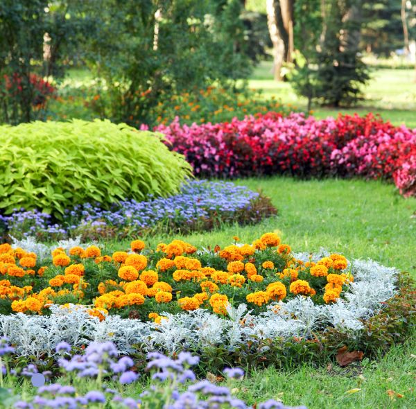 Full garden maintenance in Rye Brook
