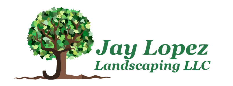 Logo jaylopez